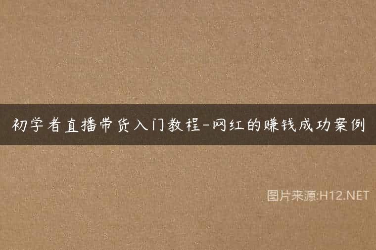 初学者直播带货入门教程-网红的赚钱成功案例
