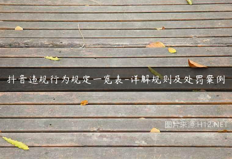 抖音违规行为规定一览表-详解规则及处罚案例