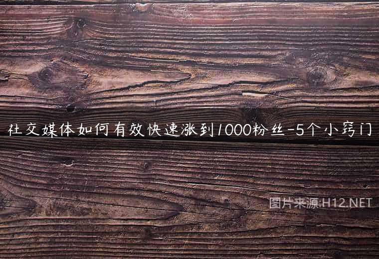 社交媒体如何有效快速涨到1000粉丝-5个小窍门