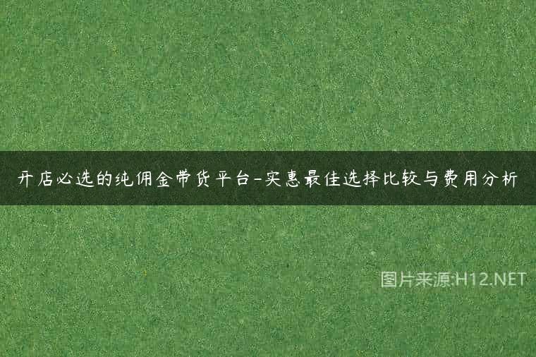 开店必选的纯佣金带货平台-实惠最佳选择比较与费用分析