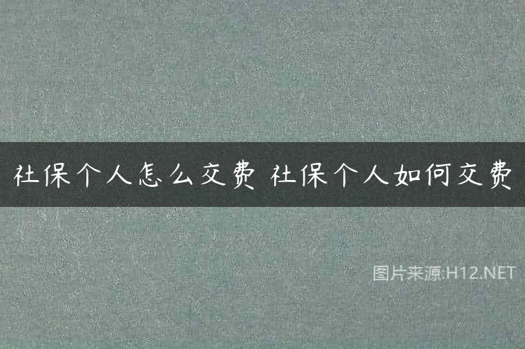 社保个人怎么交费 社保个人如何交费