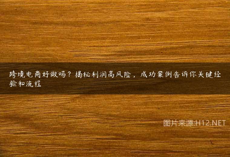 跨境电商好做吗？揭秘利润高风险，成功案例告诉你关键经验和流程