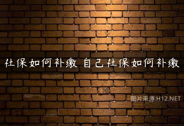 社保如何补缴 自己社保如何补缴