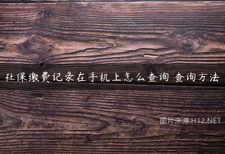 社保缴费记录在手机上怎么查询 查询方法