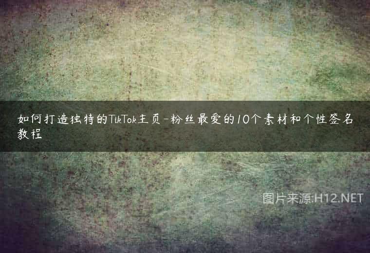 如何打造独特的TikTok主页-粉丝最爱的10个素材和个性签名教程