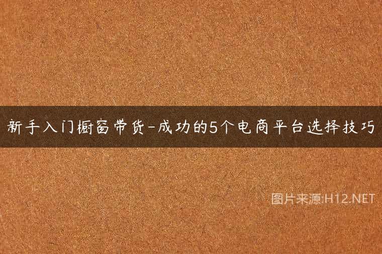 新手入门橱窗带货-成功的5个电商平台选择技巧