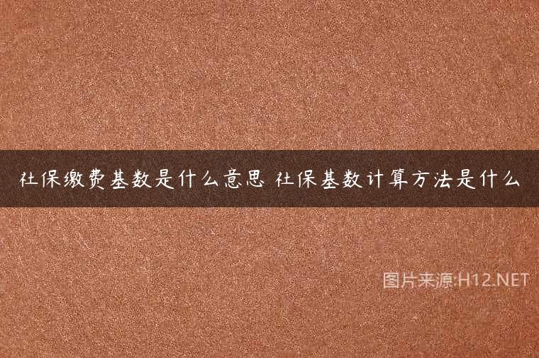 社保缴费基数是什么意思 社保基数计算方法是什么