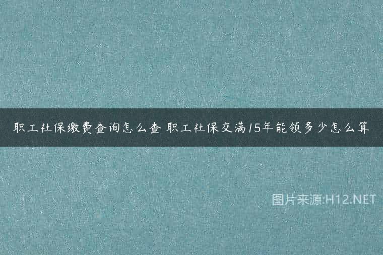 职工社保缴费查询怎么查 职工社保交满15年能领多少怎么算