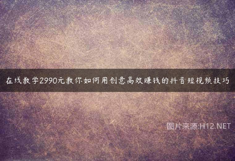 在线教学2990元教你如何用创意高效赚钱的抖音短视频技巧