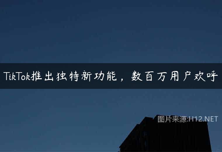 TikTok推出独特新功能，数百万用户欢呼
