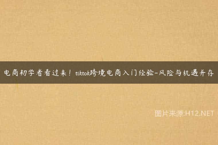 电商初学者看过来！tiktok跨境电商入门经验-风险与机遇并存
