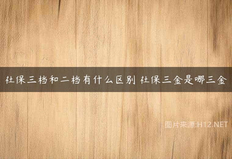 社保三档和二档有什么区别 社保三金是哪三金