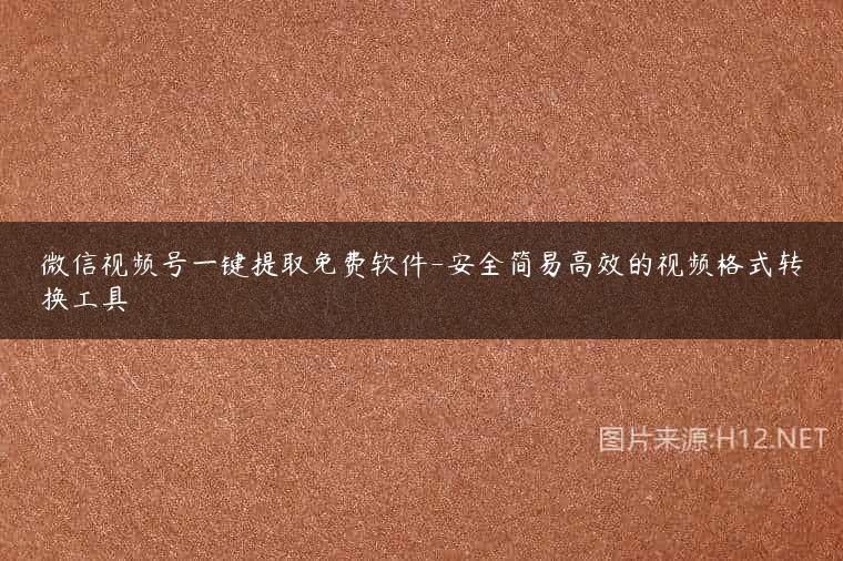 微信视频号一键提取免费软件-安全简易高效的视频格式转换工具