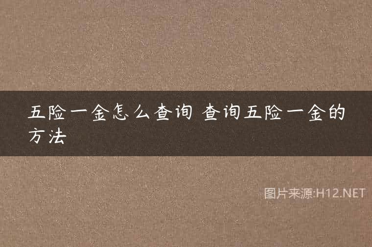 五险一金怎么查询 查询五险一金的方法