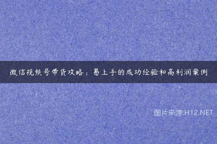 微信视频号带货攻略：易上手的成功经验和高利润案例