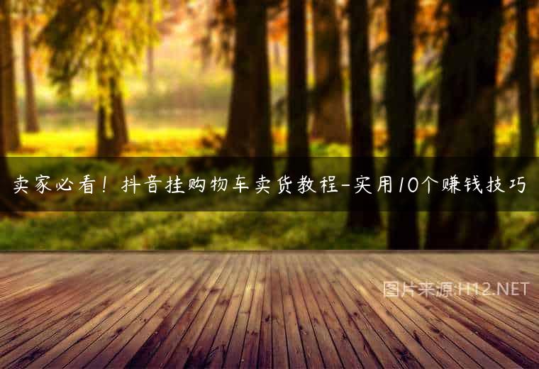 卖家必看！抖音挂购物车卖货教程-实用10个赚钱技巧
