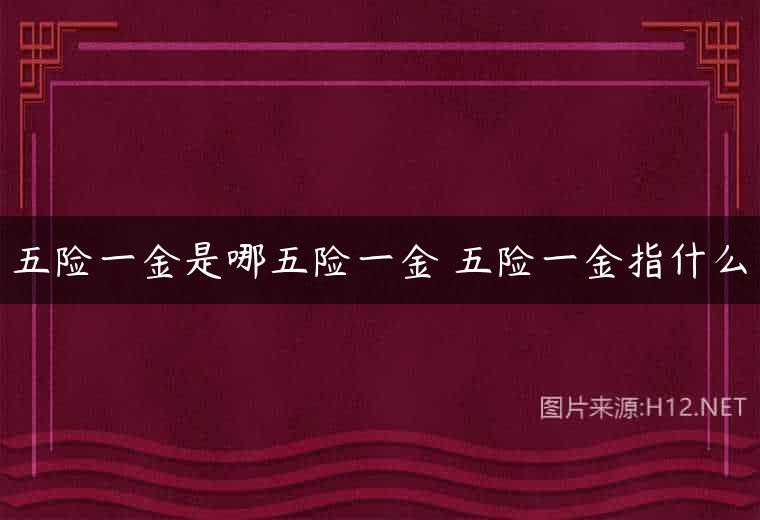 五险一金是哪五险一金 五险一金指什么