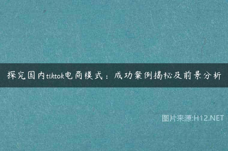 探究国内tiktok电商模式：成功案例揭秘及前景分析