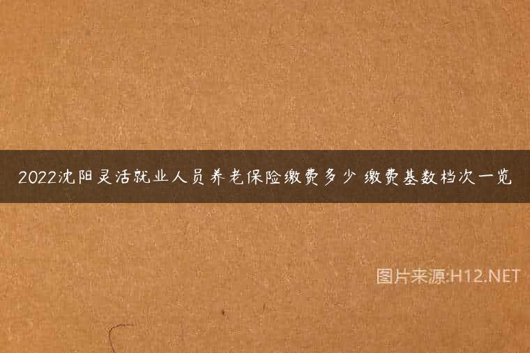 2022沈阳灵活就业人员养老保险缴费多少 缴费基数档次一览