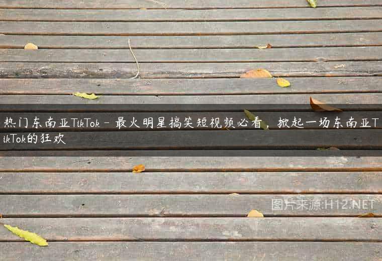 热门东南亚TikTok – 最火明星搞笑短视频必看，掀起一场东南亚TikTok的狂欢