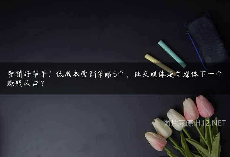 营销好帮手！低成本营销策略5个，社交媒体是自媒体下一个赚钱风口？