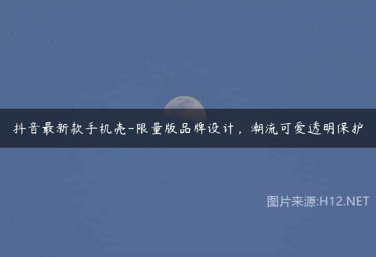 抖音最新款手机壳-限量版品牌设计，潮流可爱透明保护