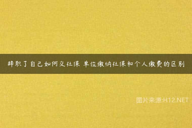 辞职了自己如何交社保 单位缴纳社保和个人缴费的区别