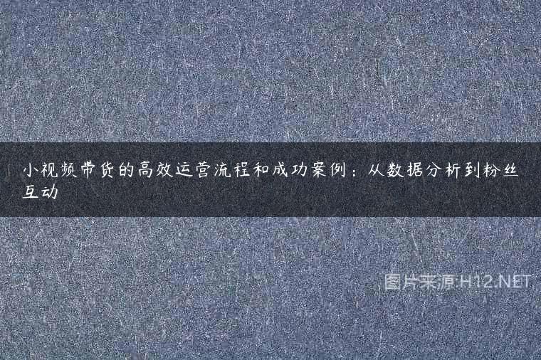 小视频带货的高效运营流程和成功案例：从数据分析到粉丝互动