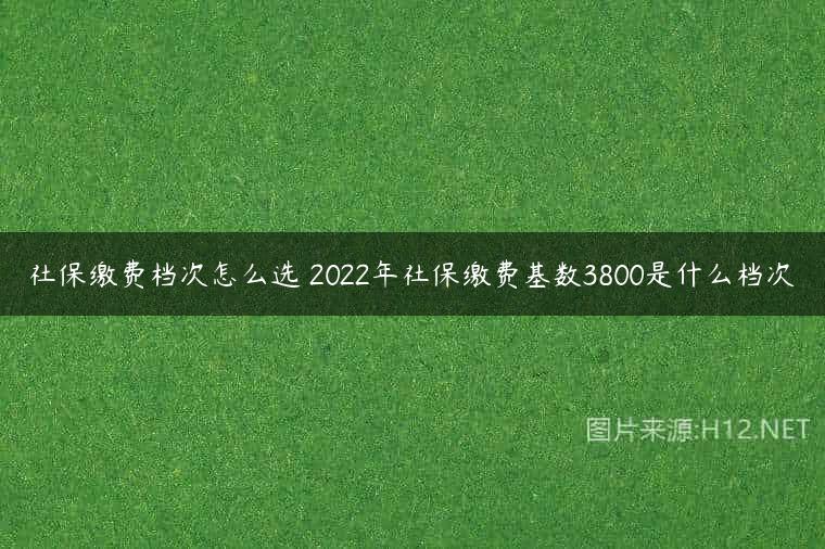 社保缴费档次怎么选 2022年社保缴费基数3800是什么档次