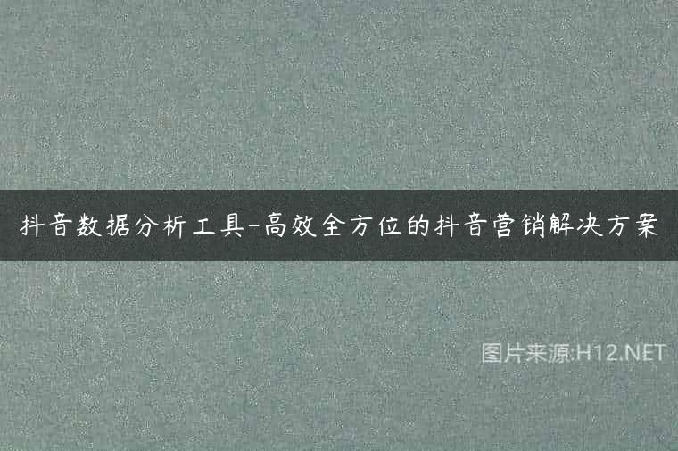 抖音数据分析工具-高效全方位的抖音营销解决方案