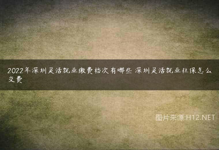 2022年深圳灵活就业缴费档次有哪些 深圳灵活就业社保怎么交费