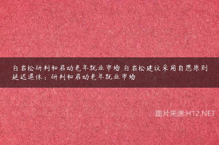 白岩松研判和启动老年就业市场 白岩松建议采用自愿原则延迟退休：研判和启动老年就业市场