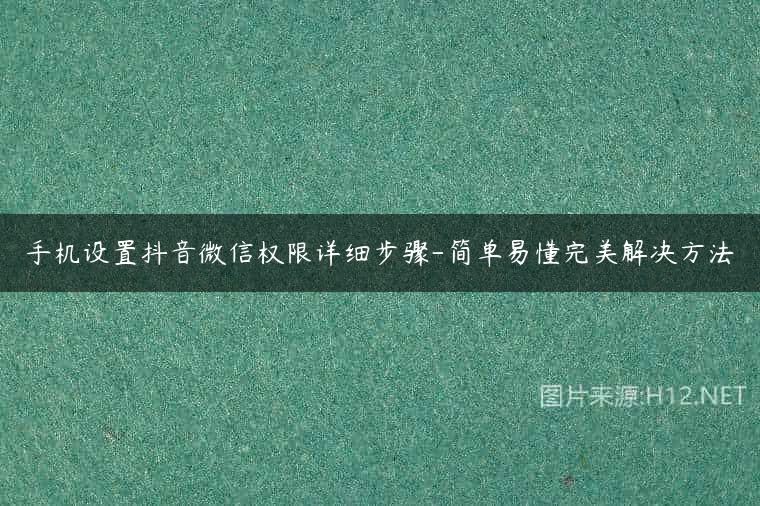 手机设置抖音微信权限详细步骤-简单易懂完美解决方法