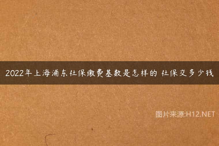 2022年上海浦东社保缴费基数是怎样的 社保交多少钱