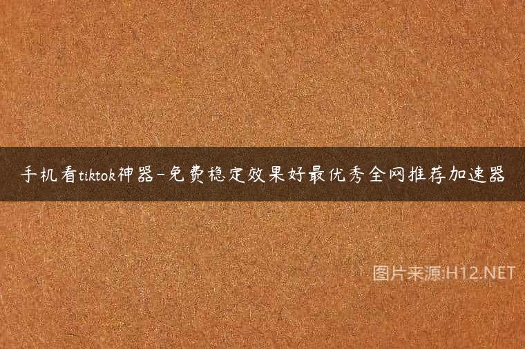 手机看tiktok神器-免费稳定效果好最优秀全网推荐加速器
