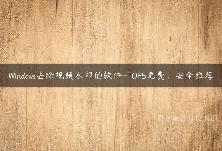 Windows去除视频水印的软件-TOP5免费、安全推荐