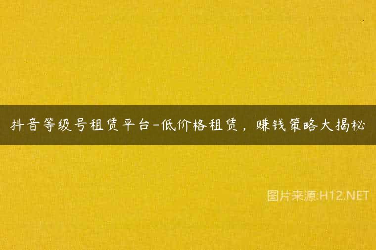 抖音等级号租赁平台-低价格租赁，赚钱策略大揭秘