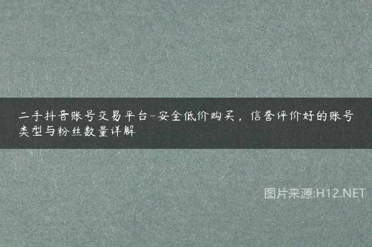 二手抖音账号交易平台-安全低价购买，信誉评价好的账号类型与粉丝数量详解