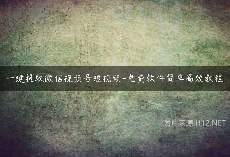 一键提取微信视频号短视频-免费软件简单高效教程