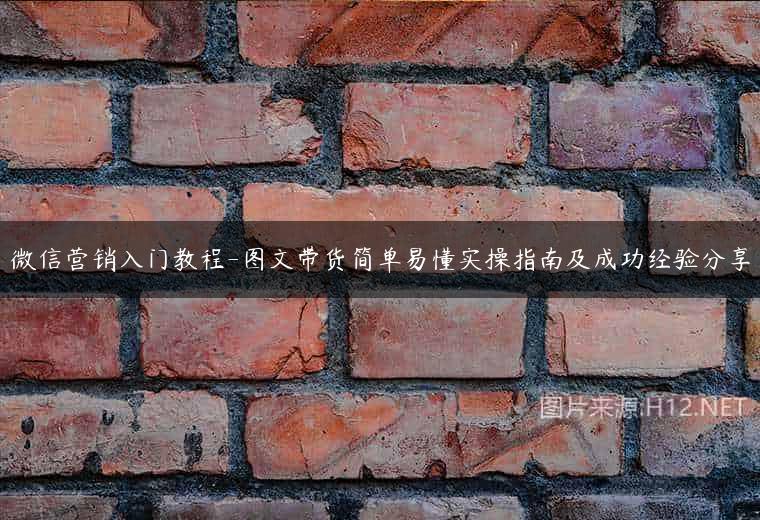 微信营销入门教程-图文带货简单易懂实操指南及成功经验分享