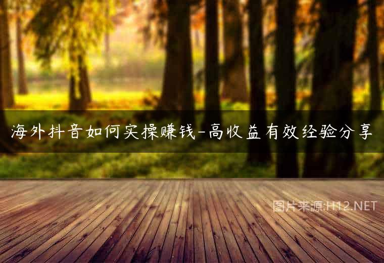 海外抖音如何实操赚钱-高收益有效经验分享
