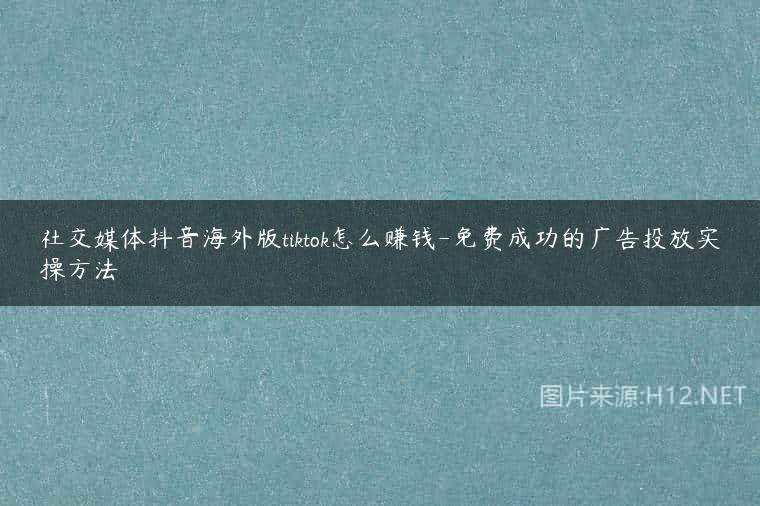 社交媒体抖音海外版tiktok怎么赚钱-免费成功的广告投放实操方法
