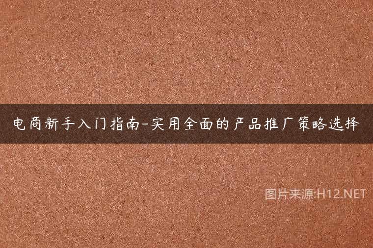 电商新手入门指南-实用全面的产品推广策略选择