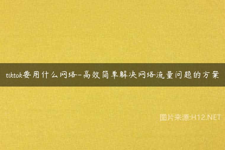tiktok要用什么网络-高效简单解决网络流量问题的方案