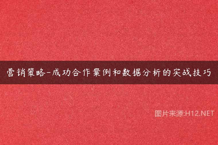 营销策略-成功合作案例和数据分析的实战技巧