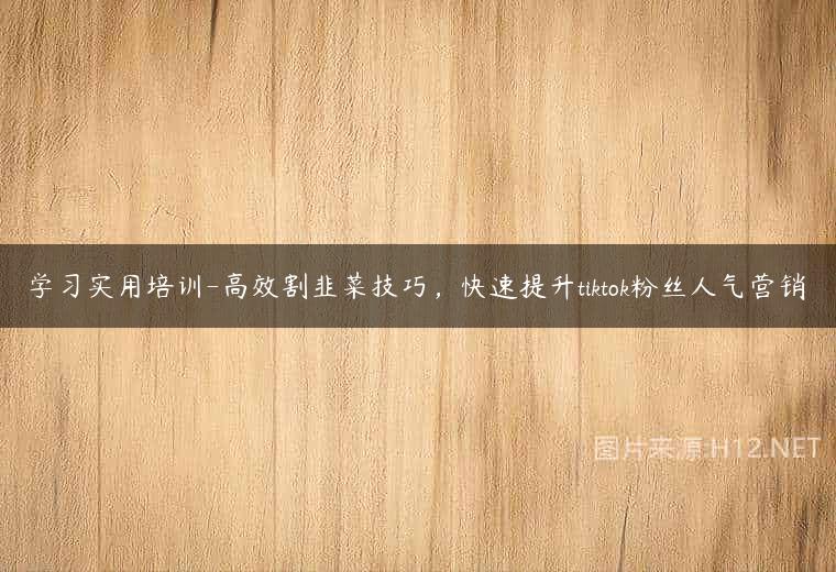 学习实用培训-高效割韭菜技巧，快速提升tiktok粉丝人气营销