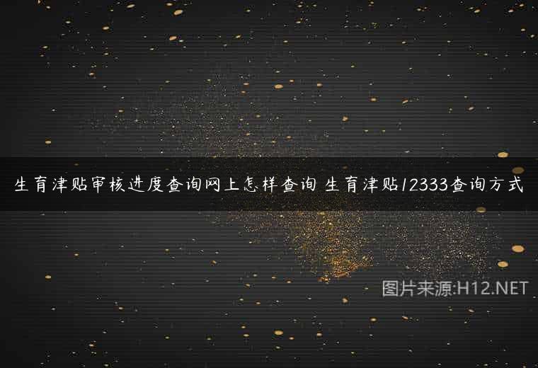 生育津贴审核进度查询网上怎样查询 生育津贴12333查询方式