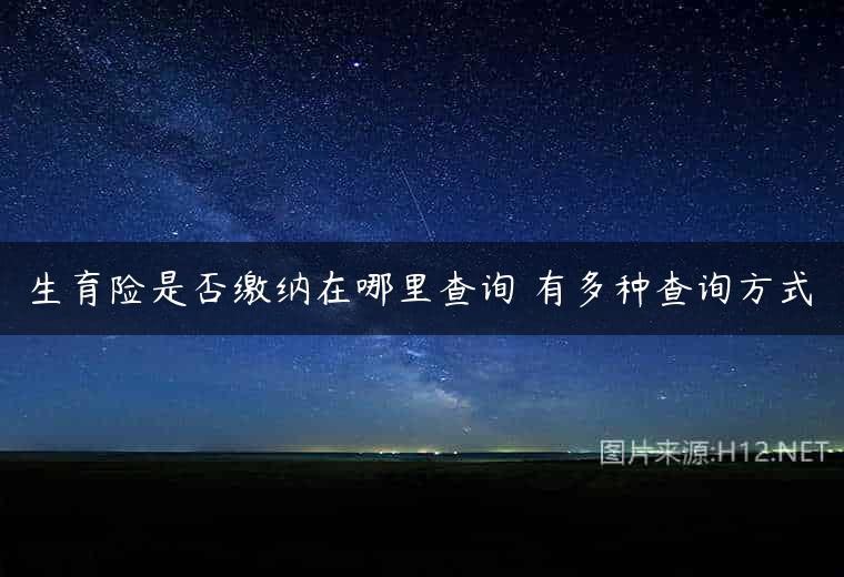 生育险是否缴纳在哪里查询 有多种查询方式