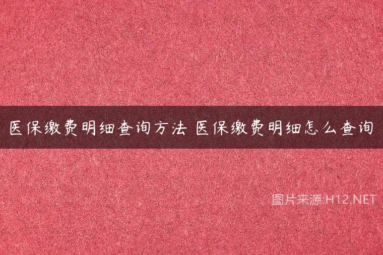 医保缴费明细查询方法 医保缴费明细怎么查询