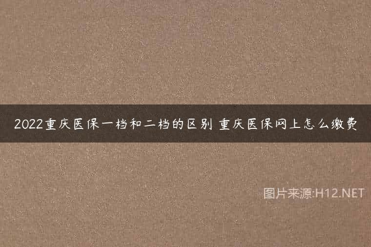 2022重庆医保一档和二档的区别 重庆医保网上怎么缴费